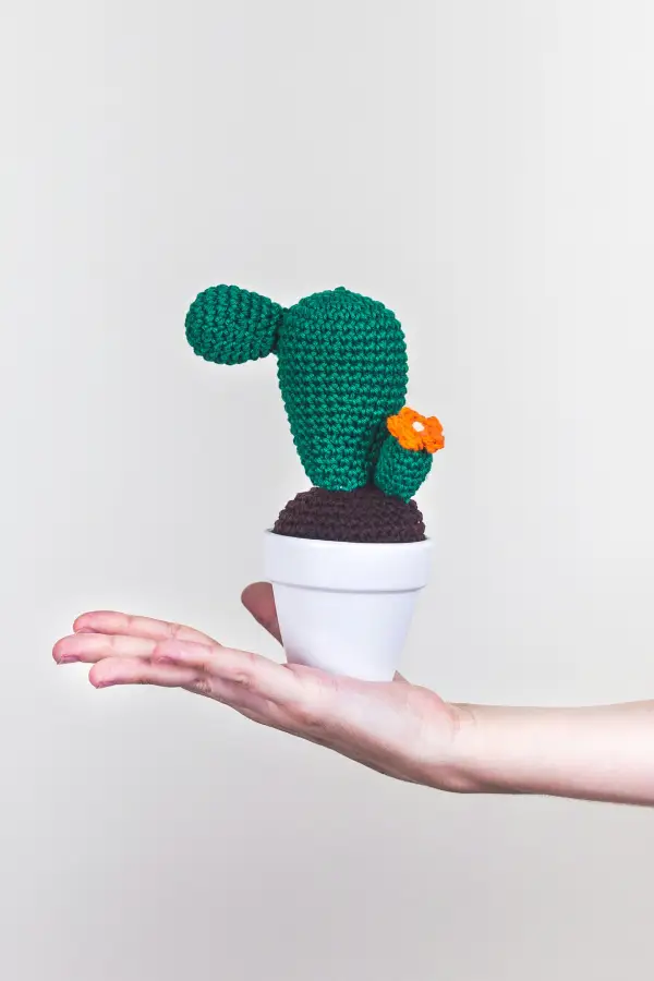 decoracion-para-el-hogar-de-crochet-cactus